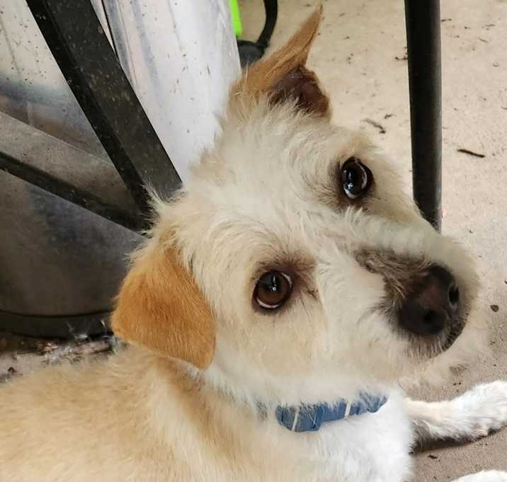 Photo of Gatsby