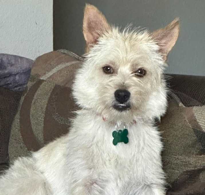 Photo of Tracker
