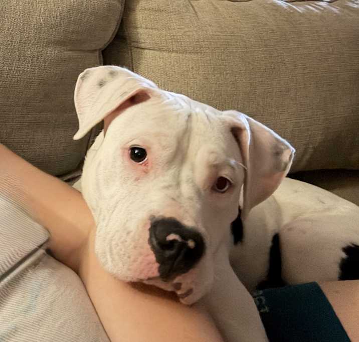 Photo of Zeus