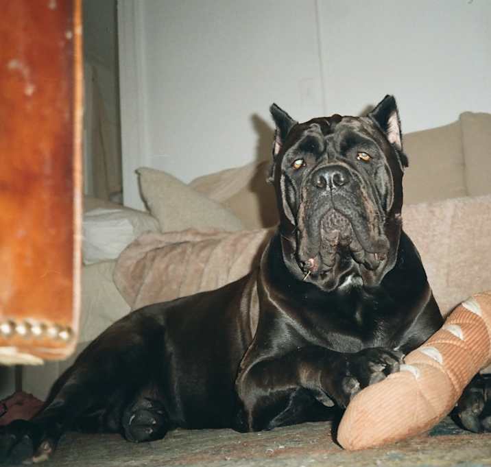 Photo of Mariuch AKA Mooch