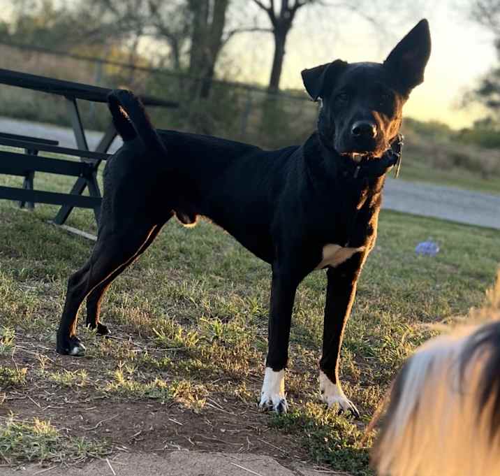 Photo of Winston