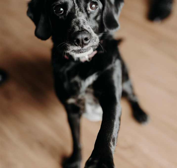 Photo of Maddie