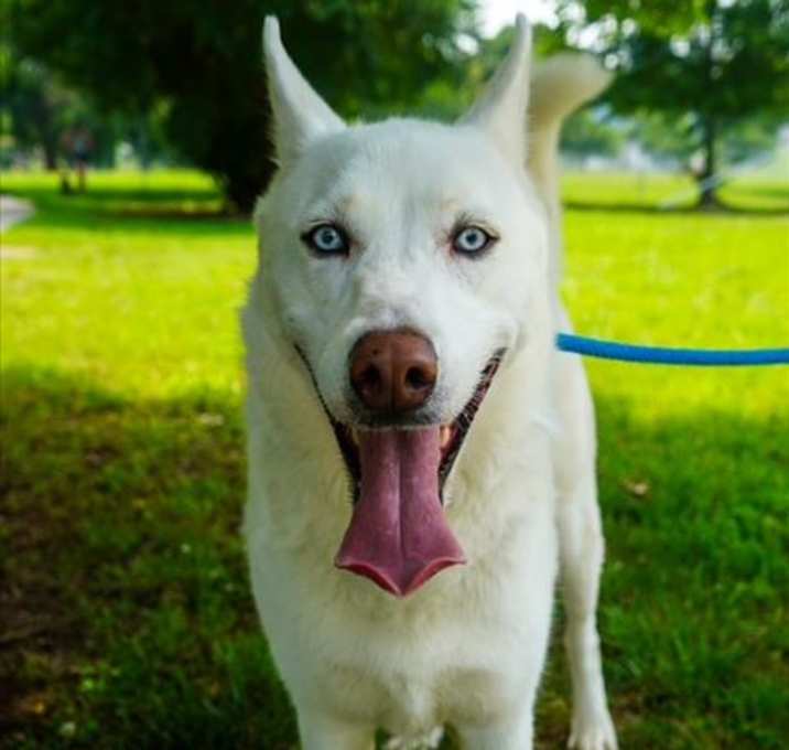 Photo of JON