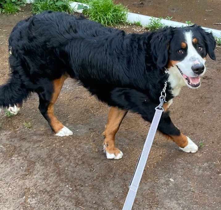 Photo of Lucy