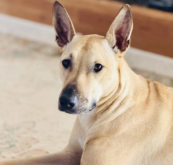 Photo of Gem