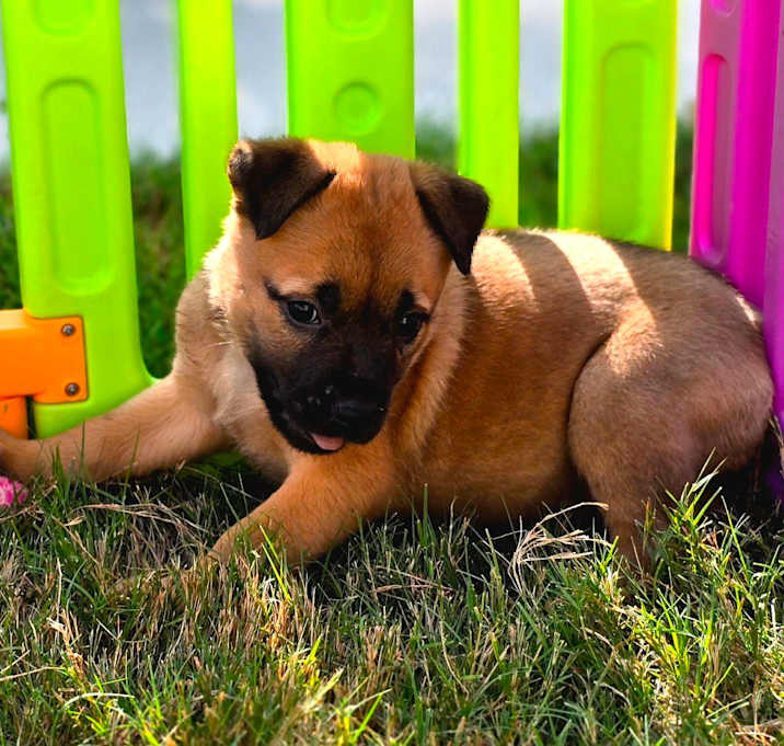 Photo of Velma 