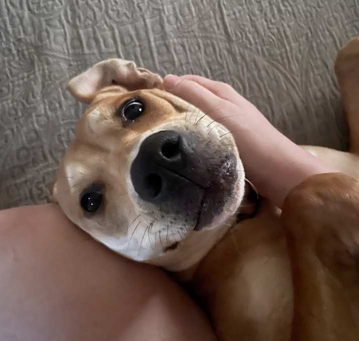 Photo of Mabel