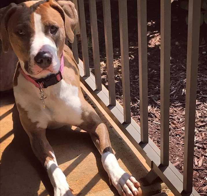 Photo of Sage