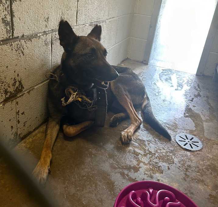 Photo of Mally-Hold Until 6/10