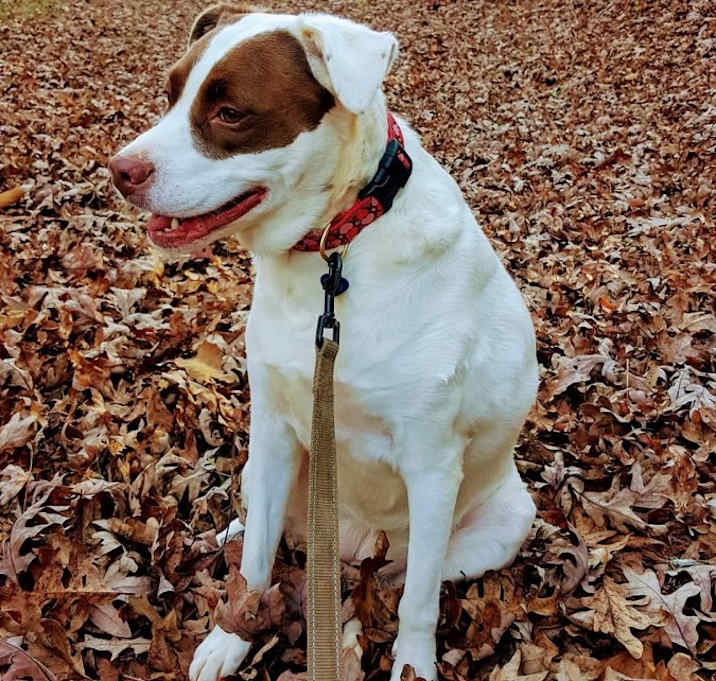 Photo of Kelly Jane
