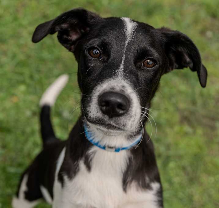 Photo of Parker