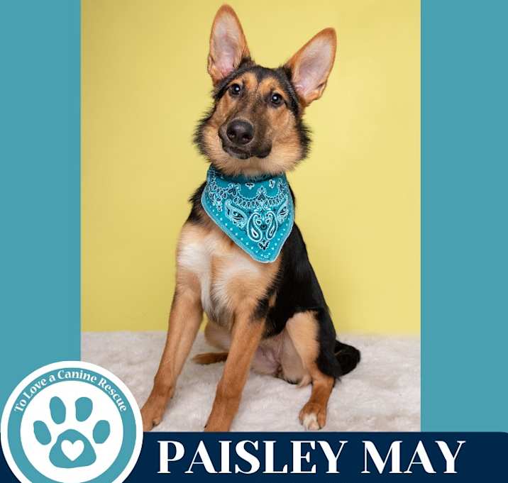 Photo of Paisley May 052925