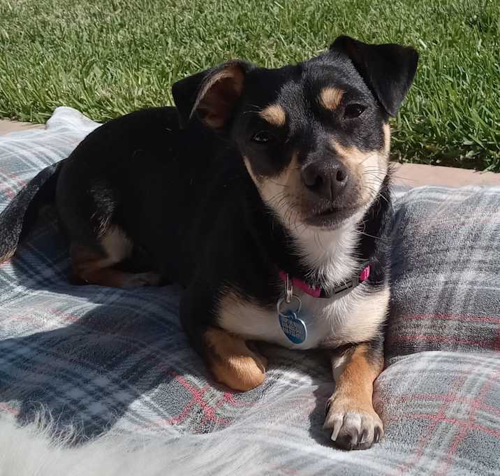 Photo of Starla