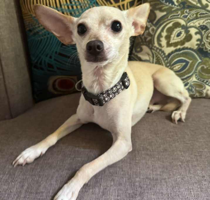 Photo of Charley
