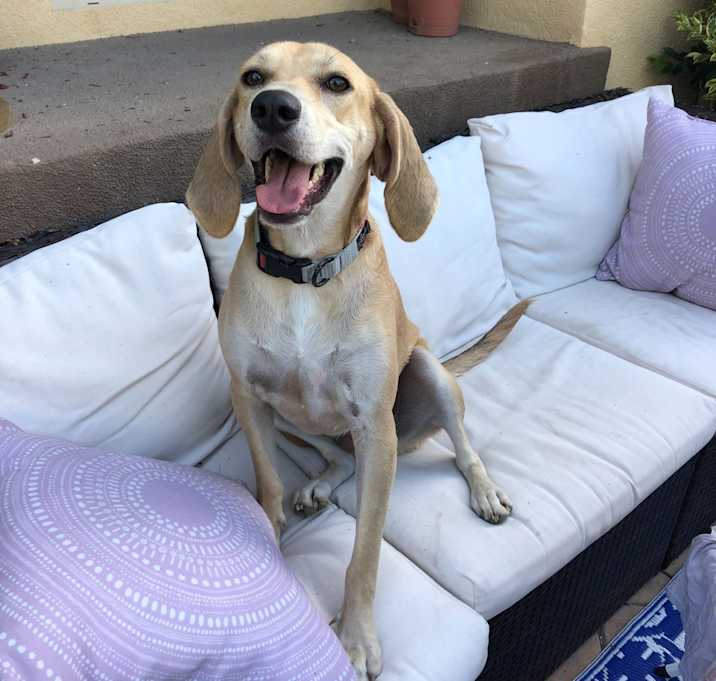 Photo of Bess