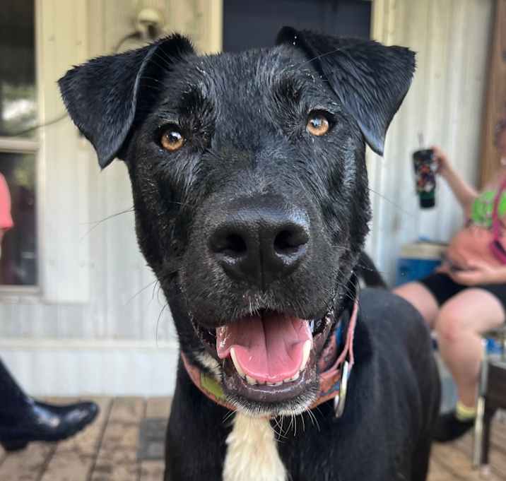 Photo of Sox