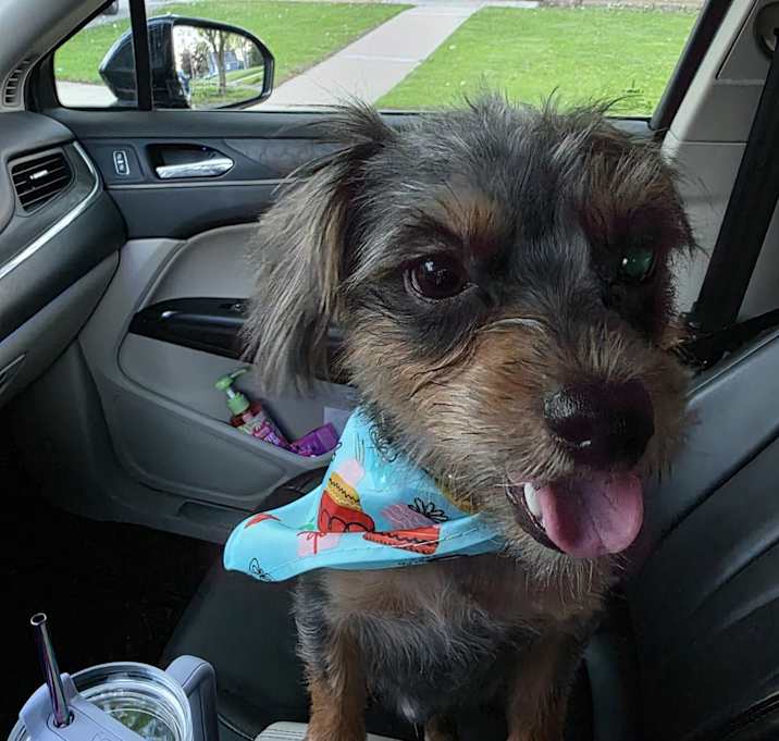 Photo of Ryleigh