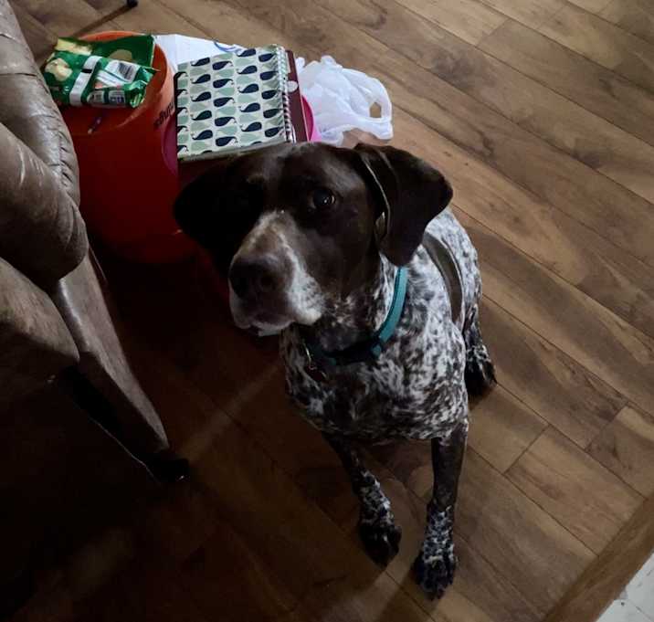 Photo of Remi