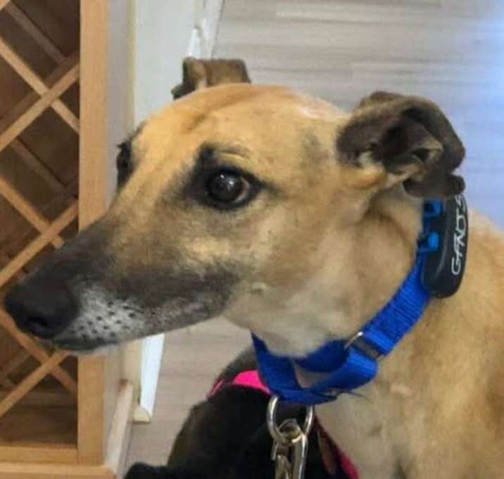 Photo of Roo