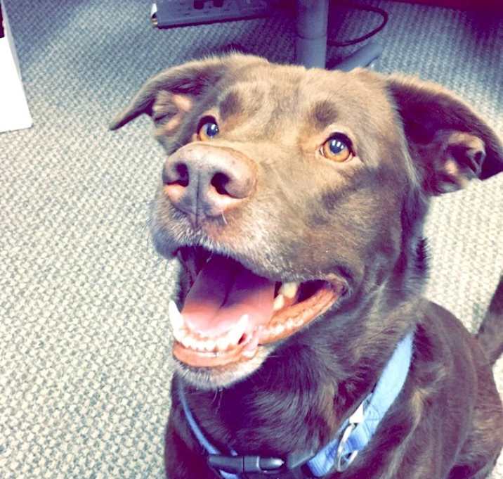 Photo of Gunner