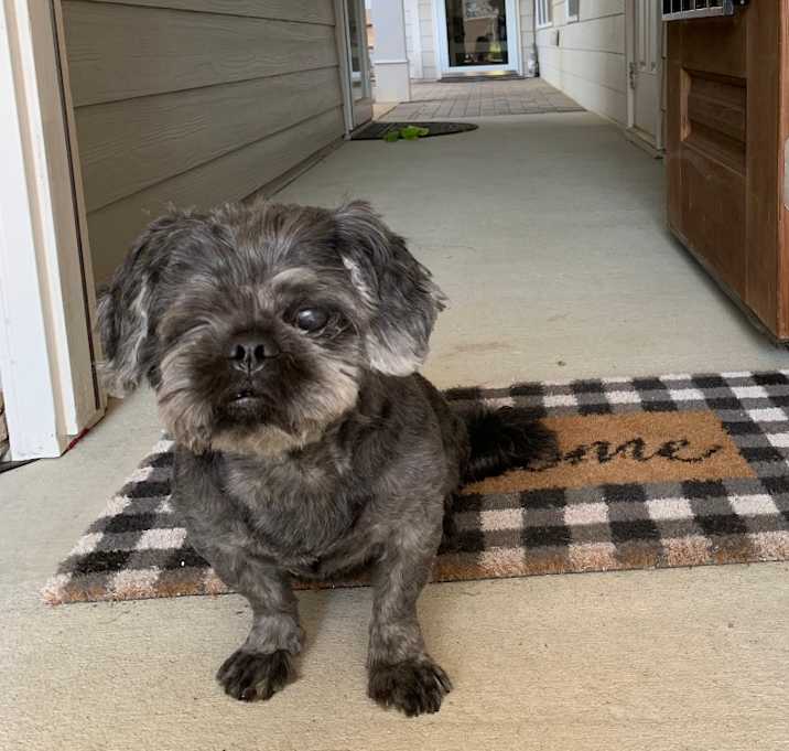 Photo of Schmitty
