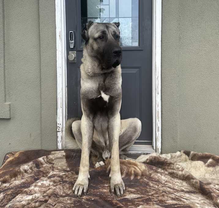 Photo of Abu