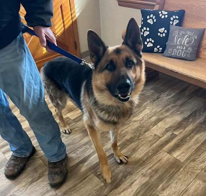 Photo of Bullet