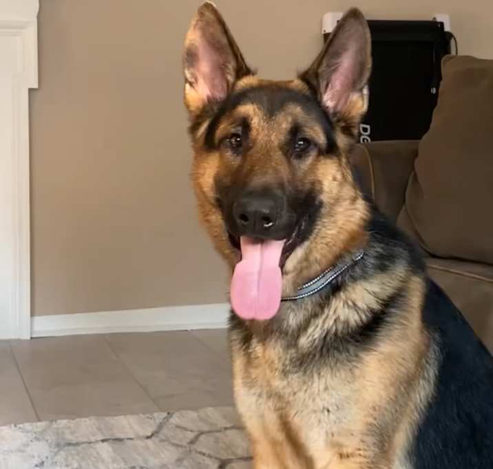 Photo of Porter