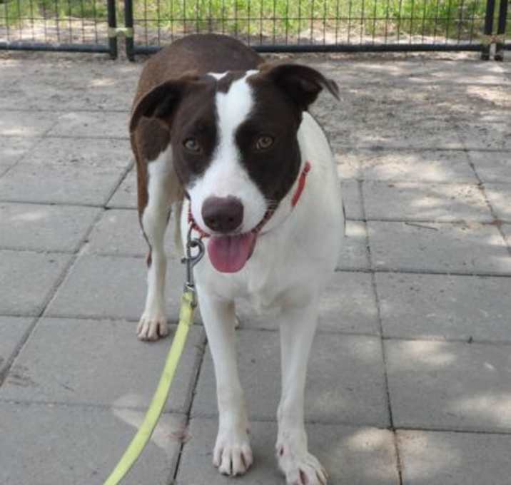 Photo of Polka