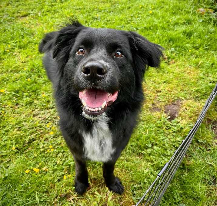Photo of Jax