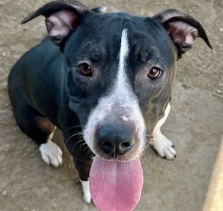 Photo of Marmie Gumbo 61248