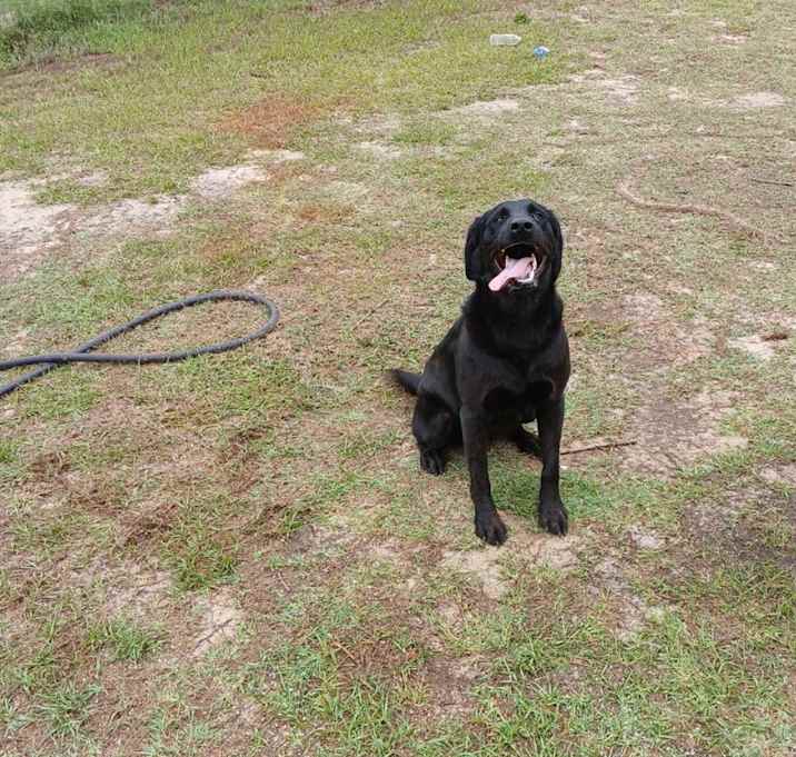 Photo of Pepper