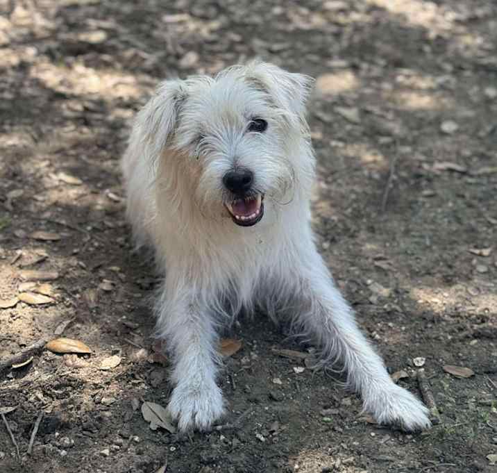Photo of Toby LC