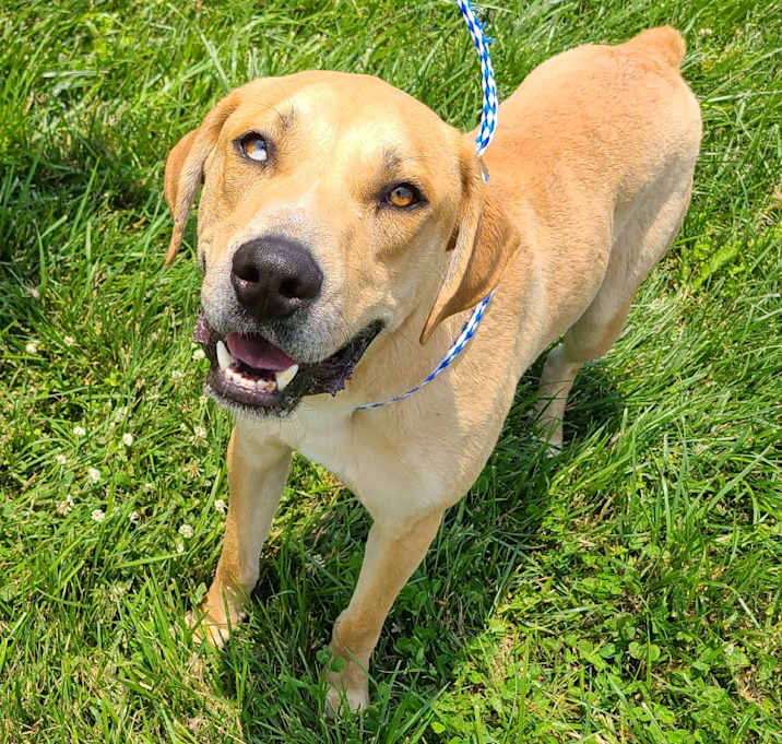 Photo of Jake Pawl