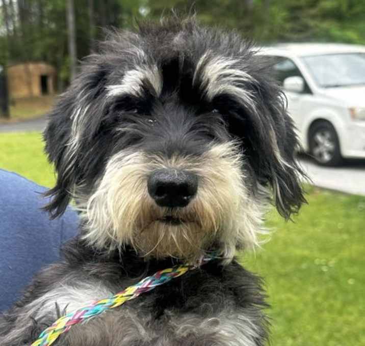 Photo of Daisy