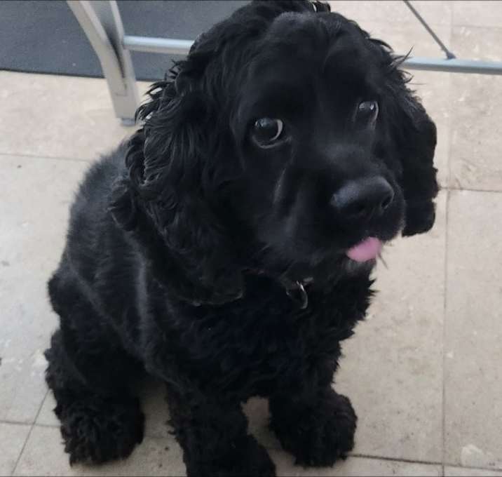 Photo of Jett