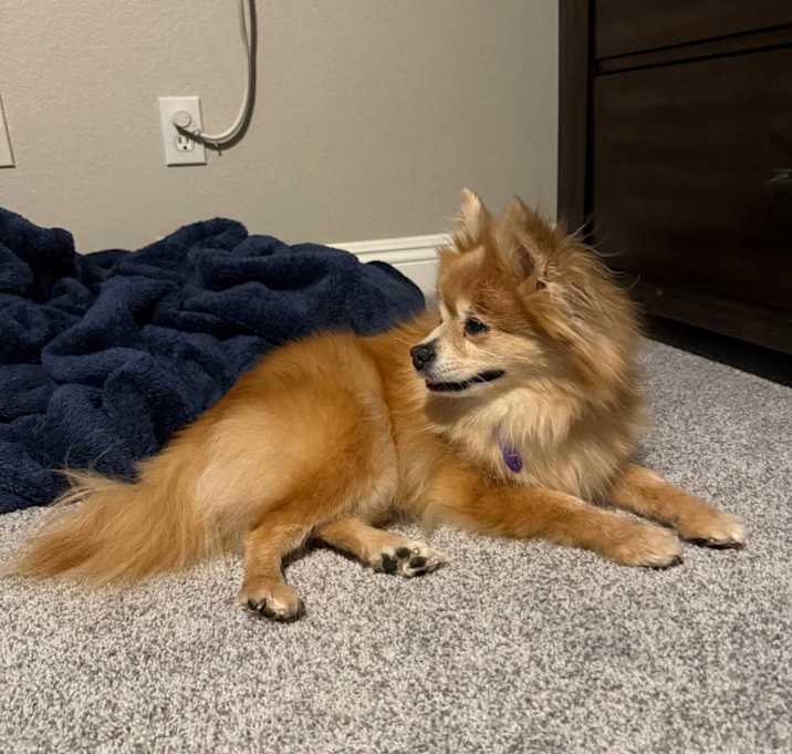 Photo of Becky