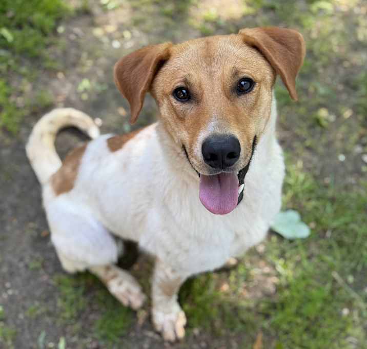 Photo of Windy