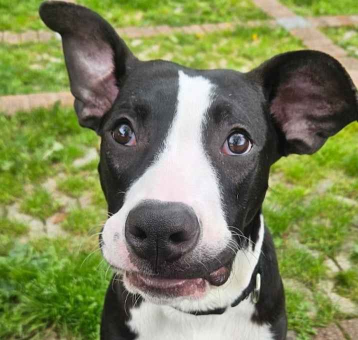 Photo of Uno