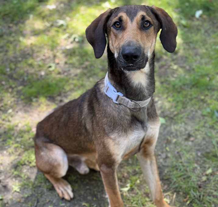 Photo of Timmy