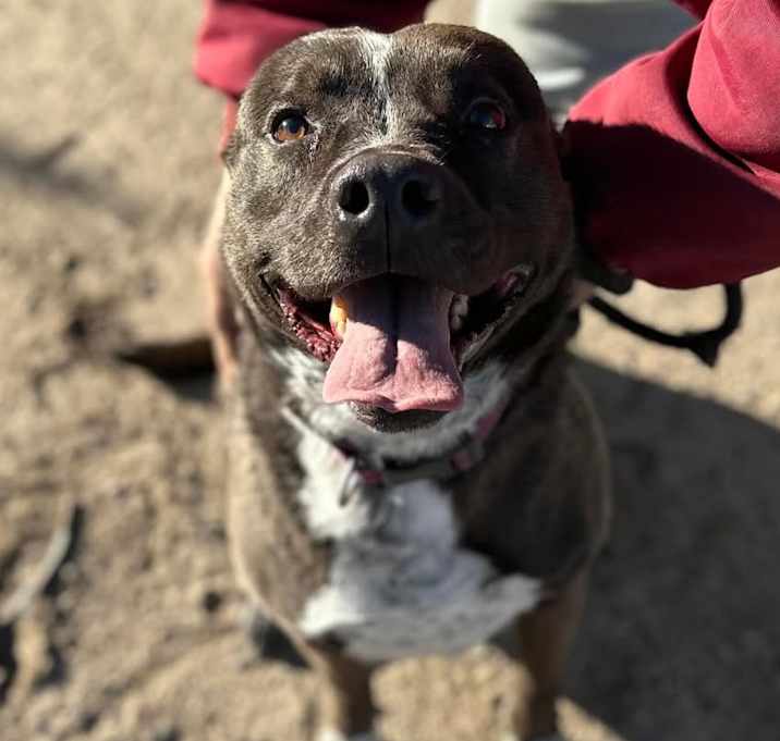 Photo of MACY