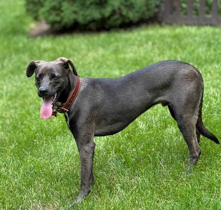 Photo of Max~meet me!