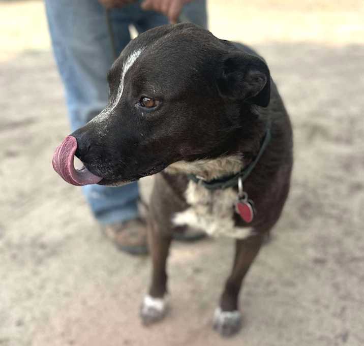 Photo of MACY