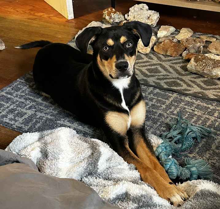 Photo of Max