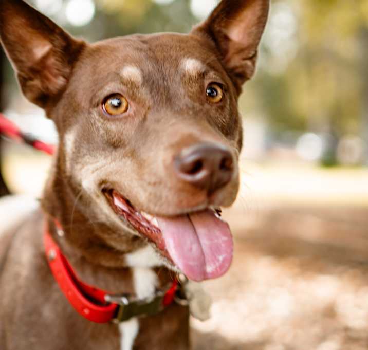 Photo of Maya