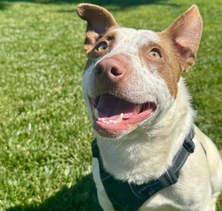 Photo of Billy