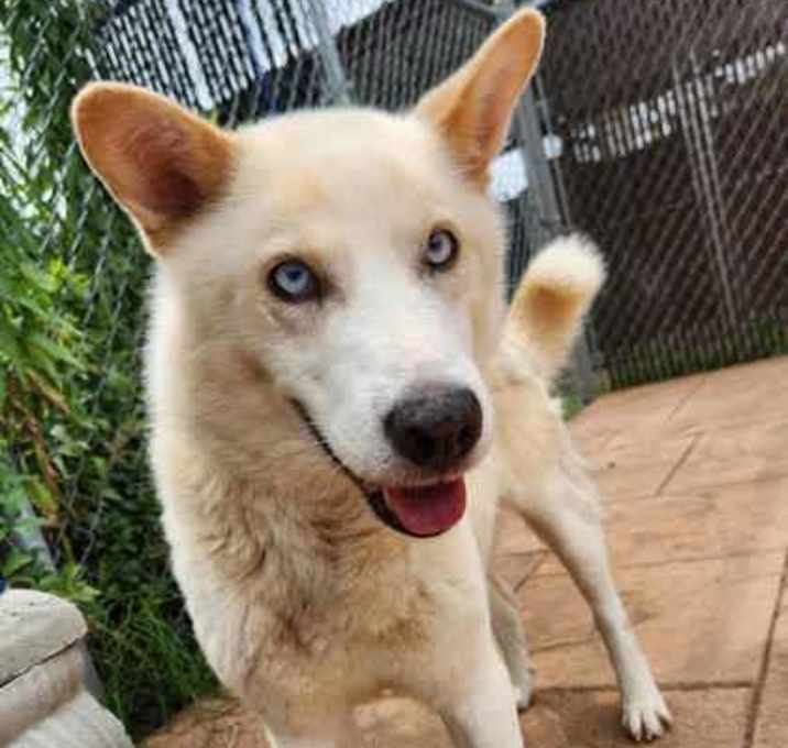 Photo of Casper