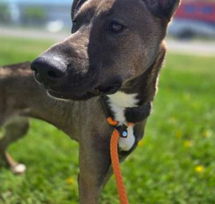 Photo of MARY PUPPINS