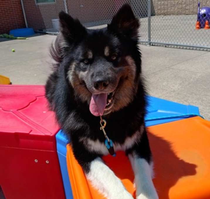 Photo of Waylon