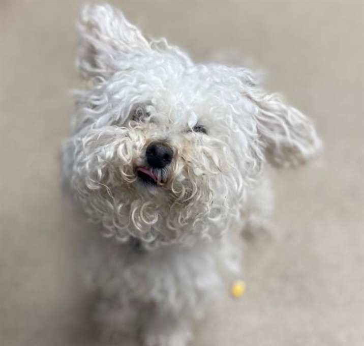 Photo of NOODLE